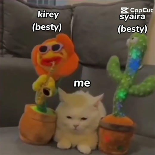 ya begitulah kehidupan ku di sekolah 🗿