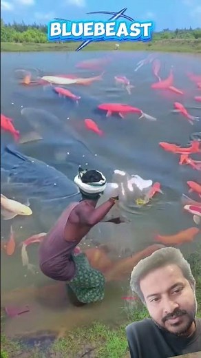 মাছ ধরার নিউ টেকনিক৷৷ 🇧🇩🇧🇩🇧🇩