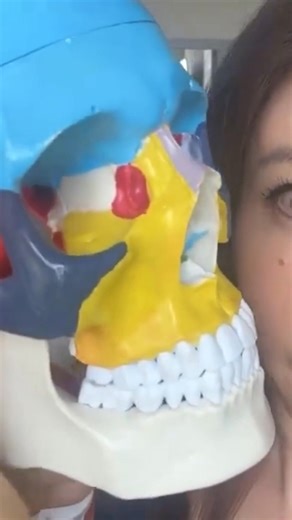 Did you know your temple area is one of the thinnest bones on the face? That’s why technique matters. Be careful—but don’t ignore it. #KokoFaceYoga #FaceYoga #CheekbonePress #FaceLift #TempleAwareness #FaceTrainingTips | Koko Face Yoga