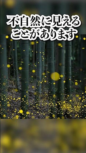 Is it possible to take a separate photo of the firefly's light and then combine it into one image?