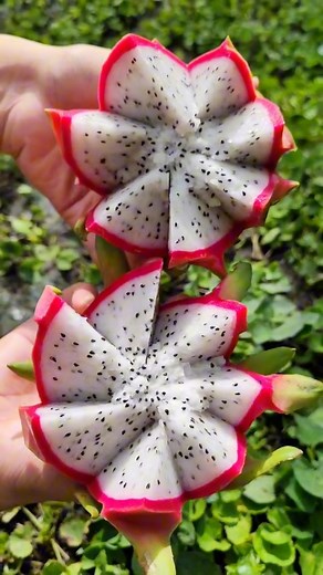 5K reactions · 19 shares | Dragon Fruit na puti殺 | Ove Cabuyao | Facebook