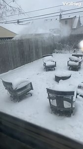 **NSFW Language** How rude! ❄🏘😒 #viralhog #neighbors #snow #smh | ViralHog