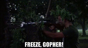 Freeze, gopher!