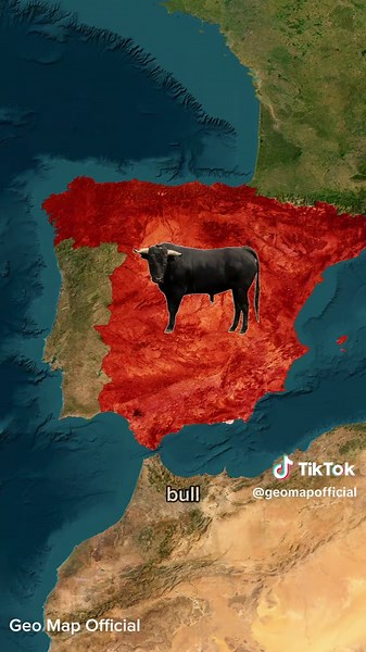 Exploring Countries Through Their Popular Animals