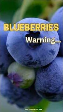 The Hidden Risks of Eating Blueberries | Blueberries: The Surprising Dangers You Need to Know
