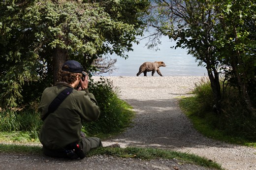 'My career is over': Inside Trump's latest national parks purge