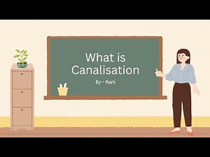 What is canalisation? #education #learning #unlearning