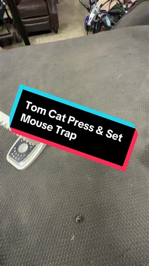 Tom Cat Press and Set Mouse Trap #tiktokshopcreatorpicks #tomcat #mousetrap #mouse #hungrymouse