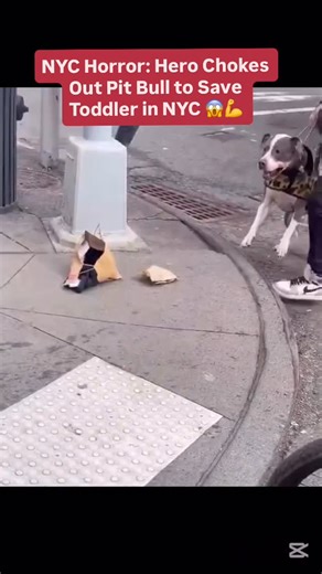 FRESHGISTS on Instagram: "Shocking viral video from Union Square: A pit bull attacks a 1-year-old, refusing to release – until heroes intervene, with one choking it out to save the child! Boy has serious leg wounds but is stable. Massive online outrage over pit bull safety in cities. Thoughts on stricter laws? #dogattackvideo #ViralNews #usa #pittbulls #fyp #nyc2025"