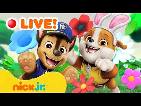 🌼 LIVE: PAW Patrol Spring Adventures w/ Rubble & Zuma in a 24/7 Marathon! | Nick Jr.