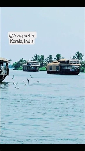 A calm ride through backwaters #aleppey #alappuzha #kerala #india #nature #keralatourism #india