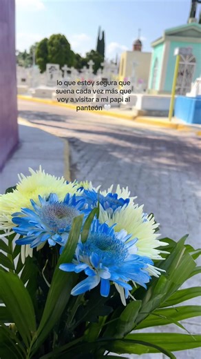 Recordando a Papá en el Panteón: Una Visita Emotiva