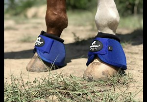 TGW RIDING 2520D Horse Bell Boots No-Turn Horse Bell Boots, Equine Ballistic Hoof Overreach Bell Boot, Pair
