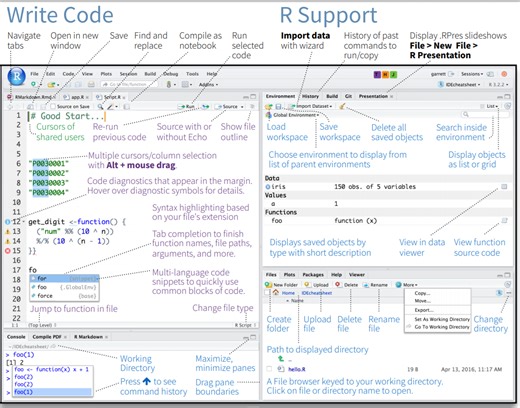 1 Introduction to R and R Studio