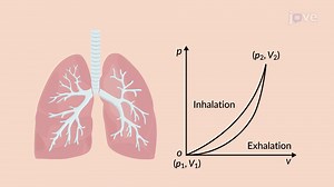 Video: Cyclic Processes And Isolated Systems