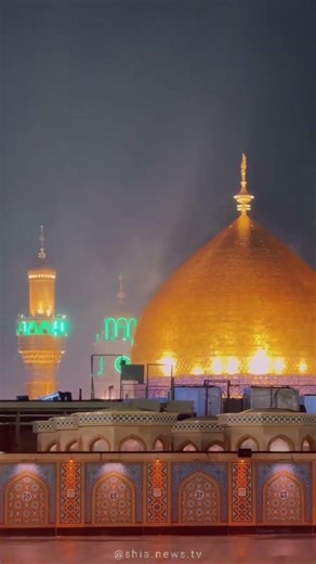 جمال المطر في مرقد الامام علي (ع)