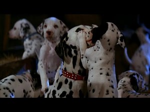Rescuing abducted Dalmatian puppies (1/2) - 101 Dalmatians Movie Scene