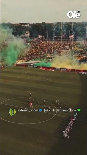 🟡🟢📲 El posteo de ALDOSIVI tras mantener la categoría en PRIMERA DIVISIÓN