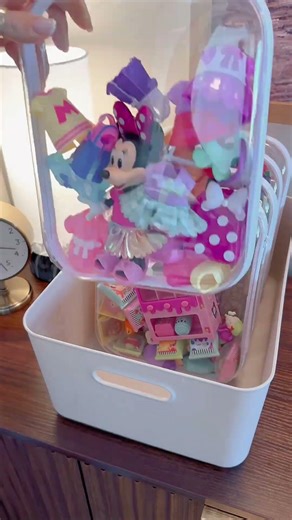 Toy Organization