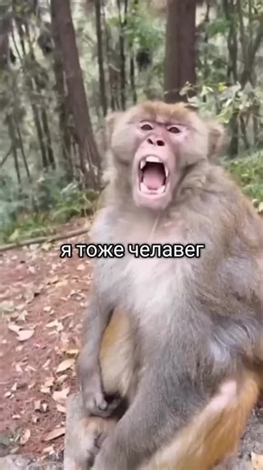 Я тоже человек: право на нормальную жизнь