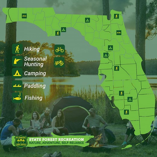 We're calling you out...to our Florida State Forests! With more than 1.1 million acres to explore there are endless activities waiting for you. 🚴 Biking 🥾 Hiking 🏹 Hunting ⛺ Camping ... & MORE Start planning your adventure now! | Florida Forest Service