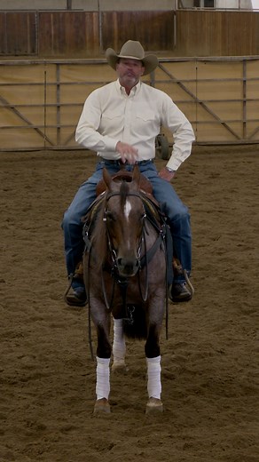 59K views · 1.2K reactions | In this training clip, Clinton works on...