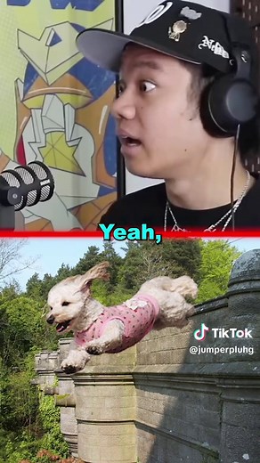 Overtoun Bridge: The Mysterious Dog Jumping Phenomenon