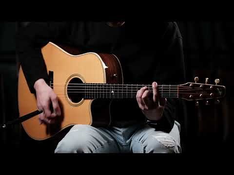 Seagull Artist Studio CW Deluxe QII