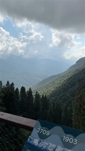Горы Скалы Заповедник Лес Адлер Сочи Россия Mountains Cliff Nature Reserve Forest Adler Sochi Russia