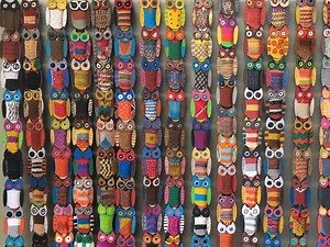 Local schools take part in owl art project | Alex News