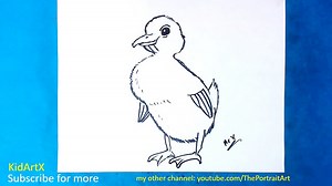 How to Draw a Realistic Duck - Step by Step Tutorial