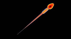 Human Sperm Fertilize Ovum Male Sperm Stock Footage Video (100% Royalty-free) 3505959385 | Shutterstock