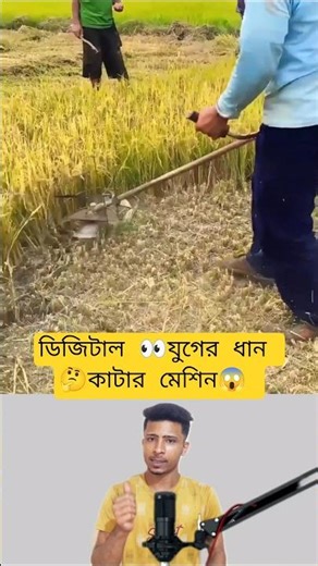 I Tried The Future Of Rice Farming