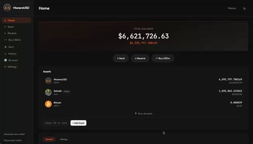 SNEAK PEEK of new wallet functionality for @MoneroUSD. -Wrapped asset support -Wallet browser-Ionswap DEX -Private subaddress scoped wallet connect with approve function, -One click node setup. -Custom tokens, liquidity pool,dark NFTs etc.All inherit FCMP++.