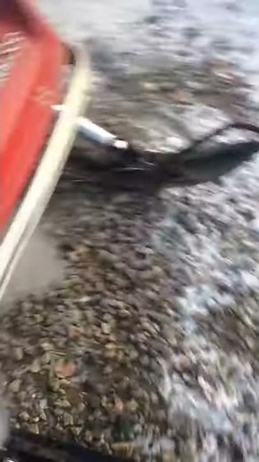 Vintage chaparral snowmobile runing!