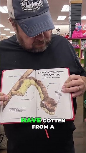 Florida Bugs: Ultimate Guide & Buc-ee's Finds!