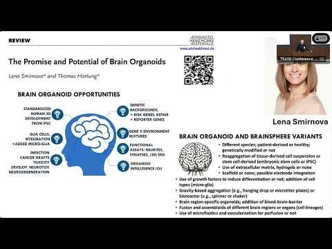 Disruptive Technologies: MPS & AI