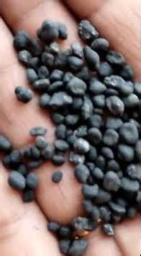 Bio Organic Dap Fertilizer | Available on IndiaMART