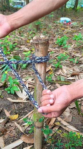 Simple and Practical Constrictor Knot Tutorial‼️
