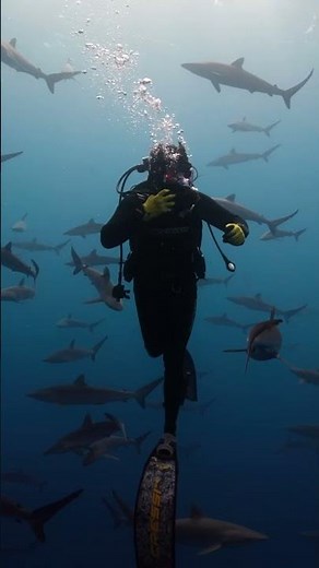 Tune into Alien Sharks today at 10PM ET/PT! #sharks