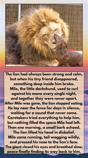 3.5M views · 49K reactions | Watermelon Sugar on Reels | Facebook