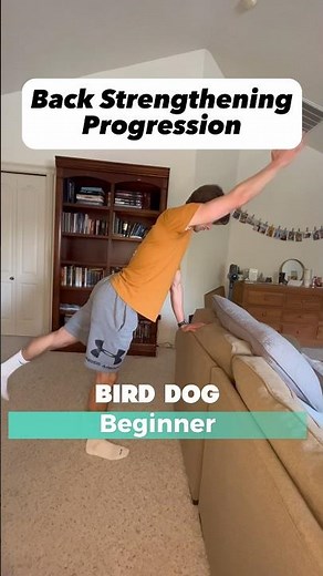 Bird Dog Progression - Back Strengthening For Beginners 🙌🏼