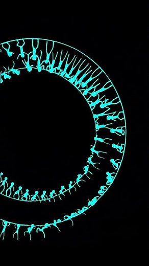 Spinning Wheels Optical Illusion 🤯