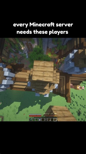 every Minecraft server need these players #minecraft #shrots #memes #vrial