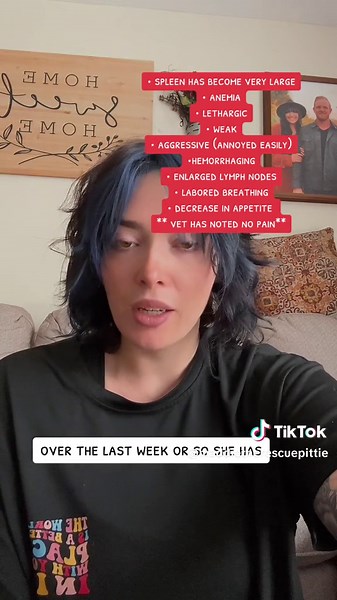 #greenscreen #cancer #cancersucks #cancerfighter #cancerawareness #lymphoma #chemo #chemotherapy #pitbull #staffy #lymphomacancer #caninecancer #caninecancerawareness