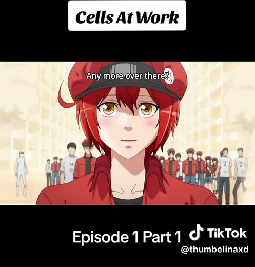 Cells At Work: Episode 1 Part 1 Overview