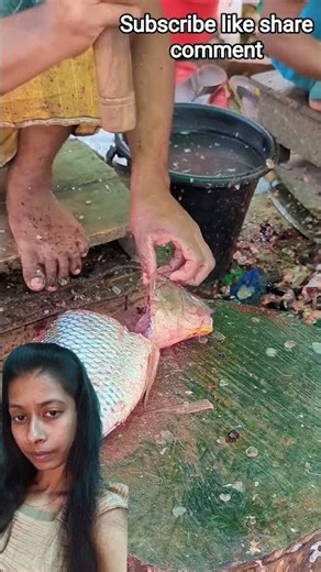 Tailepia Fish Cutting Video| Cutting 🐠 #starjaya2312 #1mview #share #viral #fishcutting