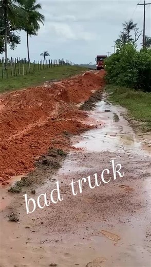 Living in a Truck: Understanding Truck Holes