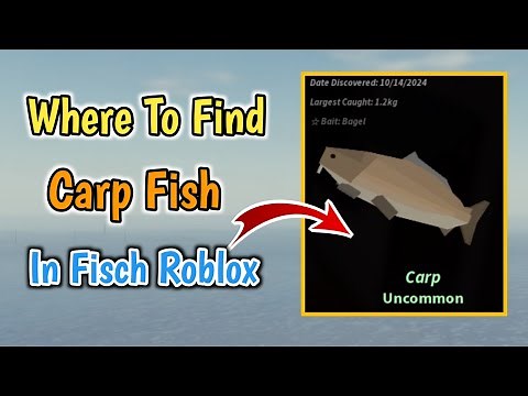 Where To Find Carp Fish In Fisch Roblox | Carp Fish Location