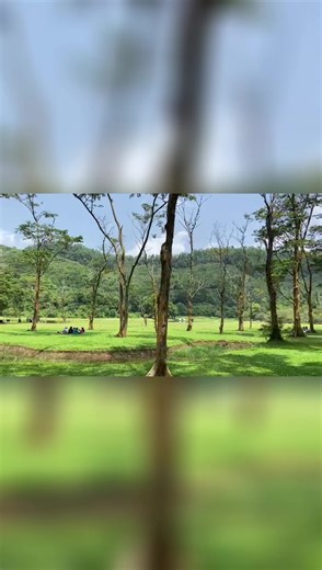 Exploring Nature at Seethawaka Botanical Garden